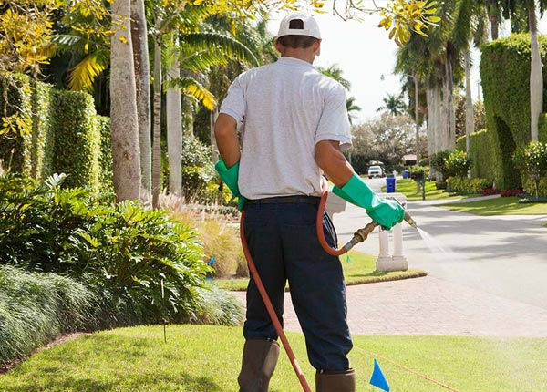 About Kingman KS Pest Control Pros